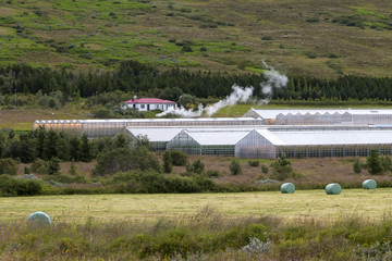 Icelandic landscape - green valley with houses and greenhouses on steaming geothermal power sources. Selective focus..