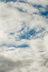 planning skydivers in the sky