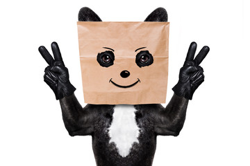 dog with paper bag on head