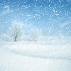 Winter background and snow