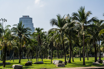 Lumphini Park is a park in Bangkok, Thailand that offers rare open public space, trees, and playgrounds in the capital and contains an artificial lake are a popular for morning and evening joggers