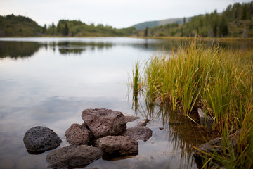 Obraz na płótnie Canvas Tranquil lake scene with reeds and rocks
