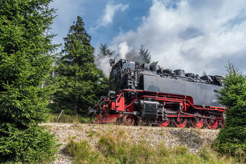 The old  locomotive in forest in Harz, Germany