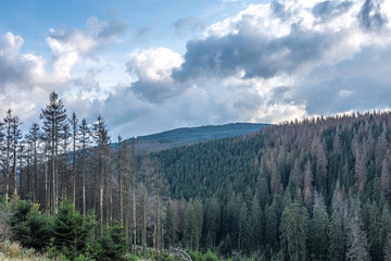 The landscape of mountain in Harz, Germany