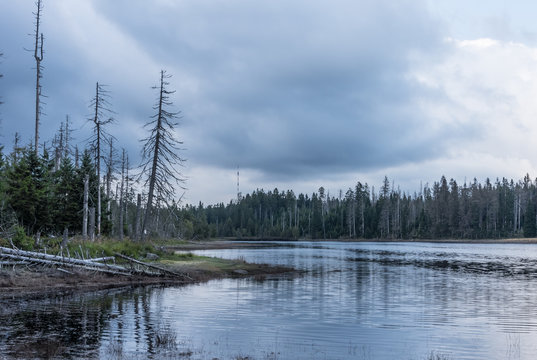 The Silberteich lake  in Harz, Germany