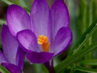 March