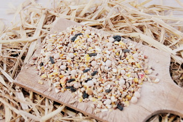 ensemble de céréales sur planche en bois, nourriture pour volaille