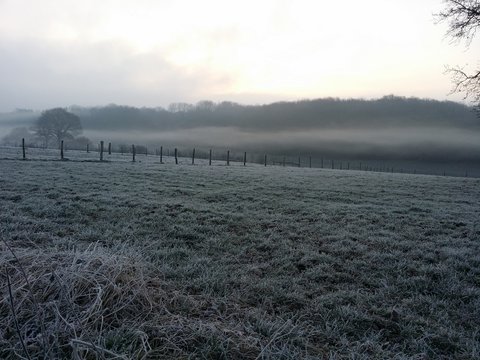 morgen dunst frost reif weite landschaft