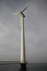 Windmills along the IJsselmeer in Flevoland, The Netherlands