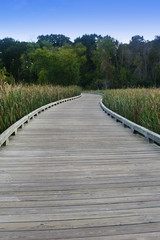 Obraz premium Boardwalk through the park