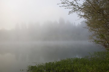 Windsor, California - RiverFront Regional Park morning after rain lake, Russian River