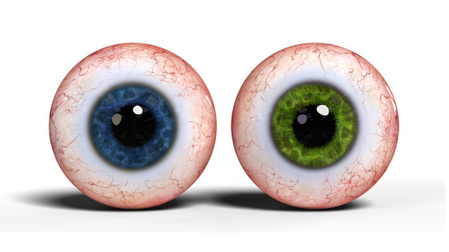 two realistic human eyeballs with blue and green iris isolated on white background (3d render)