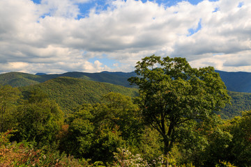 The Blue Ridge Parkway in North Carolina