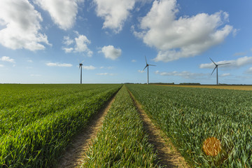 Windmills for electric power production in agricultural fields in Normandy, France. Renewable...