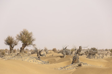 desert V, hotan-china