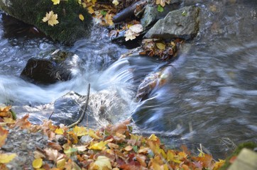 Kleiner Wasserfall - Zufluss - Stromschnellen im Herbst 