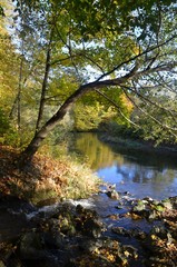 Fototapeta na wymiar Herbststimmung am Fluss