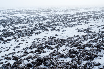 field for sowing a crop with snow