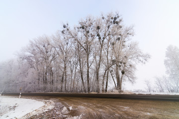 Fototapeta na wymiar Fog in the winter outside the city