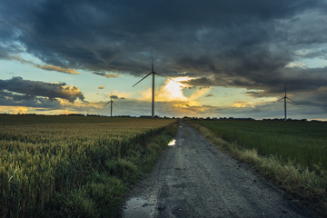 Wind turbines for electrical power generation in green agricultural fields in Normandy, France....