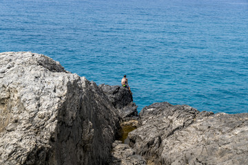 Fototapeta na wymiar young man sitting on a cliff