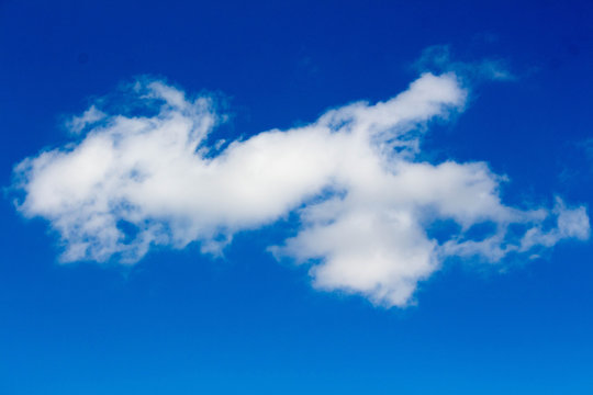 Billowy Serpent Cloud and Blue Sky 