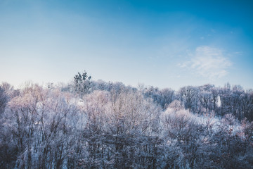 Frosty winter landscape in snowy forest. Sunny summits of the trees in a snow covered forest and blue clear sky. Winter landscape. Nature background