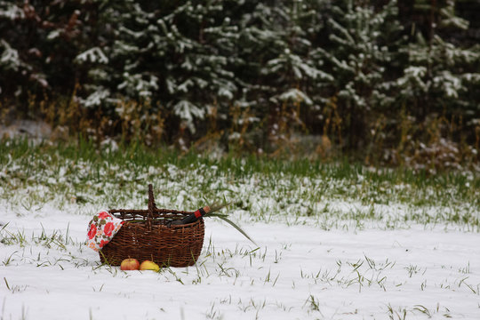 Picnic in the field on the first snow. The composition includes red wine, oats, apples.