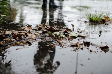 reflejo sobre agua