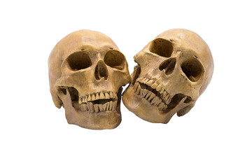 Pile of skulls on isolated white background with selective focus and clipping path.