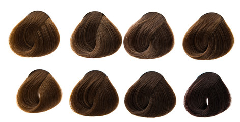 colored hair curls isolated