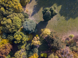 Natura e paesaggio: vista aerea di un parco, foliage di autunno, alberi foglie e prato, area verde, ecologia