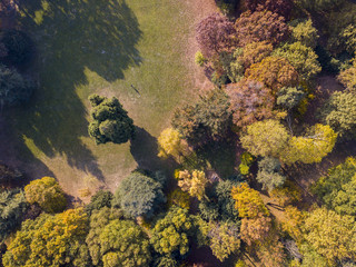 Natura e paesaggio: vista aerea di un parco, foliage di autunno, alberi foglie e prato, area verde, ecologia
