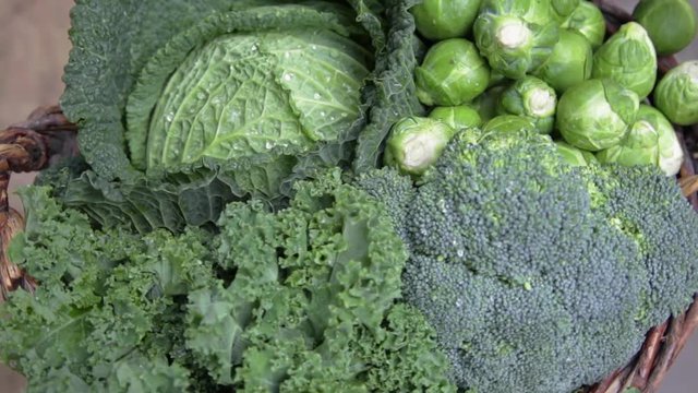 various green cabbages in basked rotating on daylight Seasonal Vegetables 
