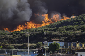 Wildfires
