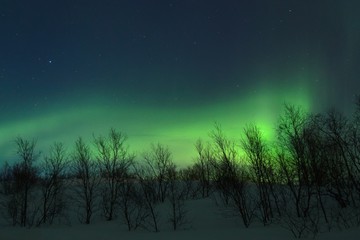 The Northern lights ,Aurora the night over the hills and forest.