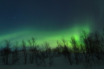 The Northern lights ,Aurora the night over the hills and forest. © Moroshka