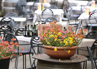 Fototapeta na wymiar pots of flowers on the tables in the alfresco bar