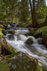 Naklejka na ściany i meble Beautiful Stream in the forest. Šumava National Park. One of the tourist spot in Czech republic,