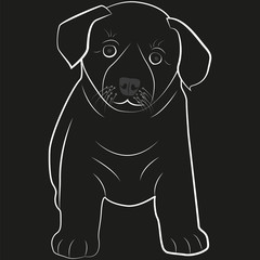Little_dog_black