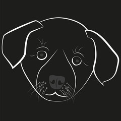 Picture of a puppy. Head of a small dog on a black background.