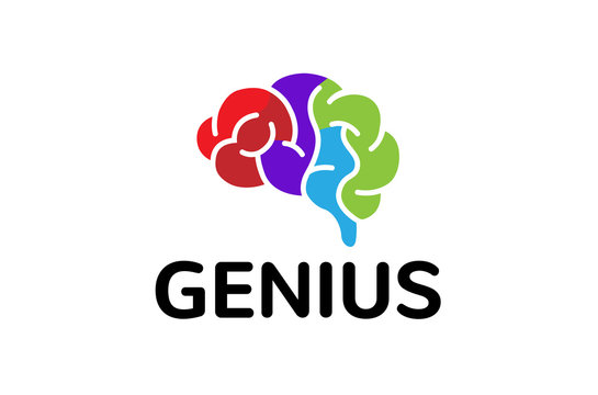 Creative Colorful Brain Logo Design Illustration