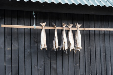 dried cod outside a house in the Faroe Islands