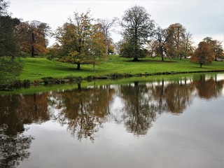Trees reflected in a lake, Ripley, North Yorkshire, England