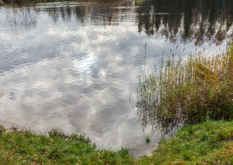 Background. Reflection on the surface of the pond.