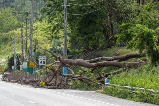 Hurricane Maria Damage in Puerto Rico