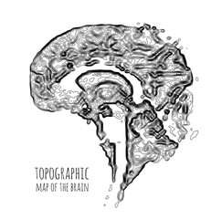 The brain in the form of a topographic map. The concept of modern technology, data transfer between neurons.