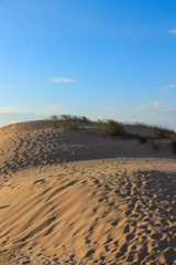 Fototapeta na wymiar sunny beach with sand dunes