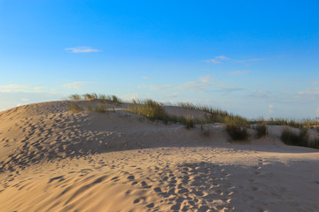 sunny beach with sand dunes