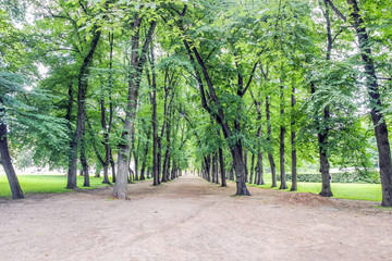 Fototapeta premium empty path with green trees at Humlegarden park in Stockholm 